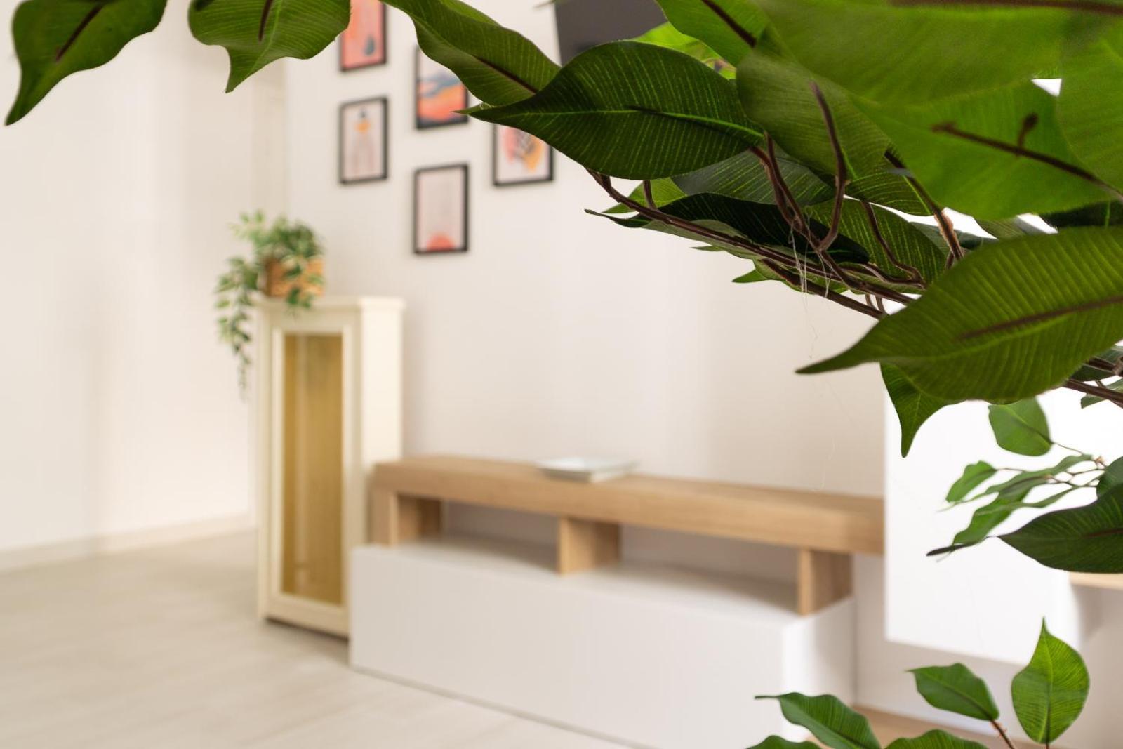 Nextovatican Apartment โรม ภายนอก รูปภาพ